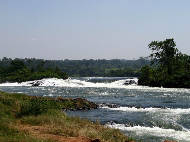 Birding through Uganda