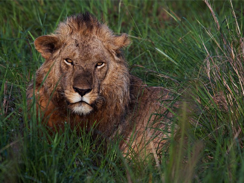 Kidepo Valley National Park - Fly In (4 Days)