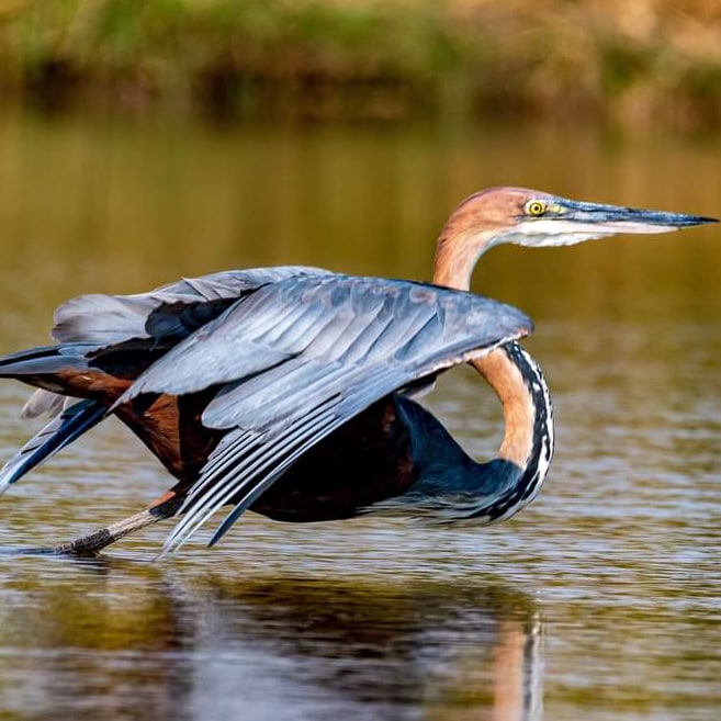 Complete Northern Circuit (14 days)