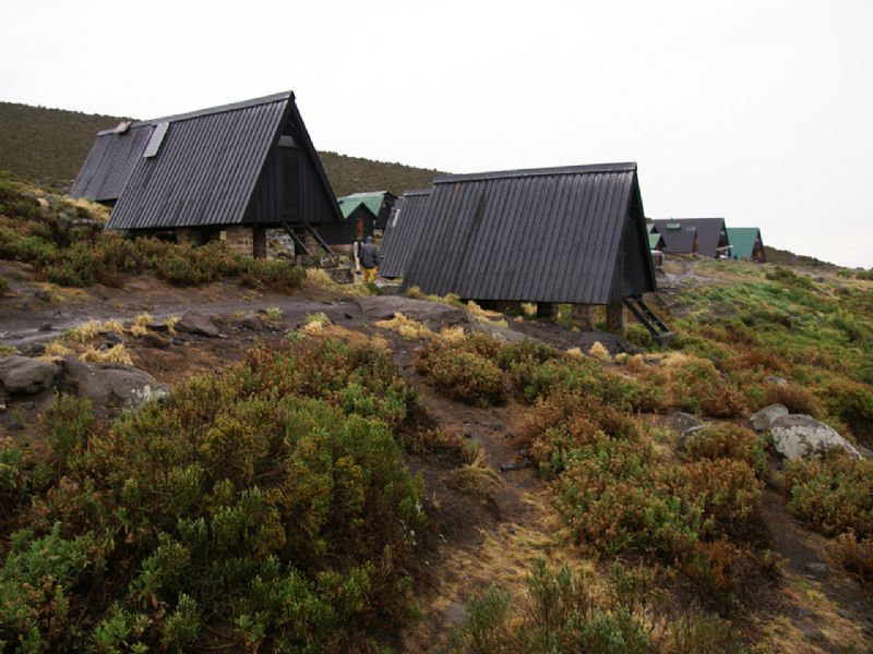 Kilimanjaro Machame Route (7 days)