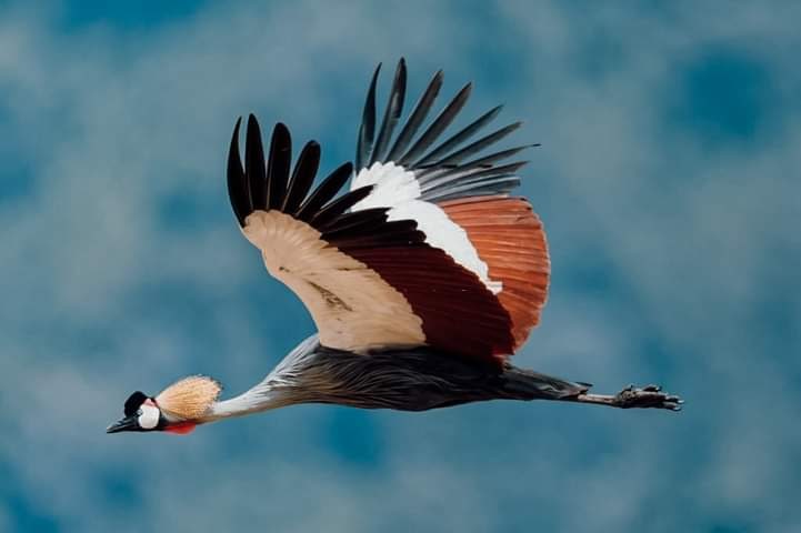 Complete Northern Circuit (14 days)